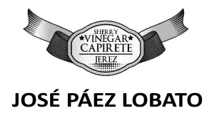 José Páez Lobato